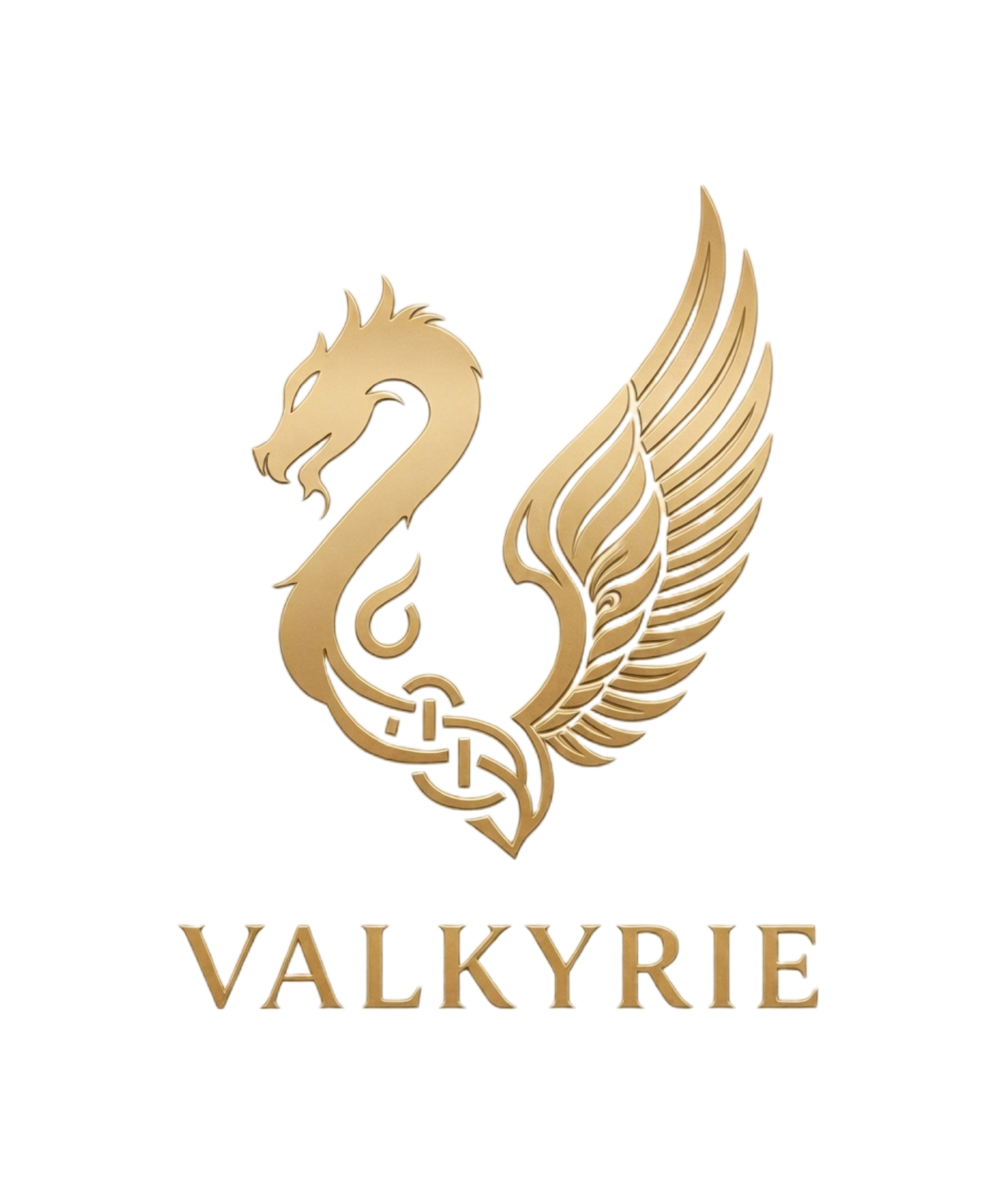 Логотип Валькирии